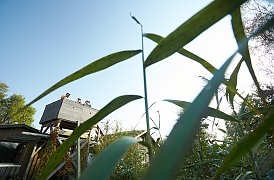 Behörde für Umwelt und Energie