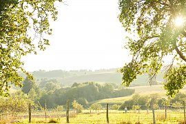 Edelhof