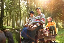 Stiftung_Mensch_Kutsche Stiftung_Mensch_Kutsche