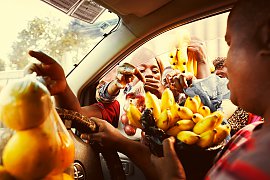Fruit Vendors Fruit Vendors