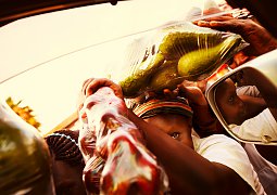 Fruit Vendors Fruit Vendors